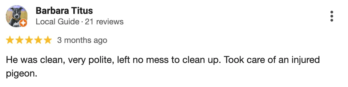 pool care near me