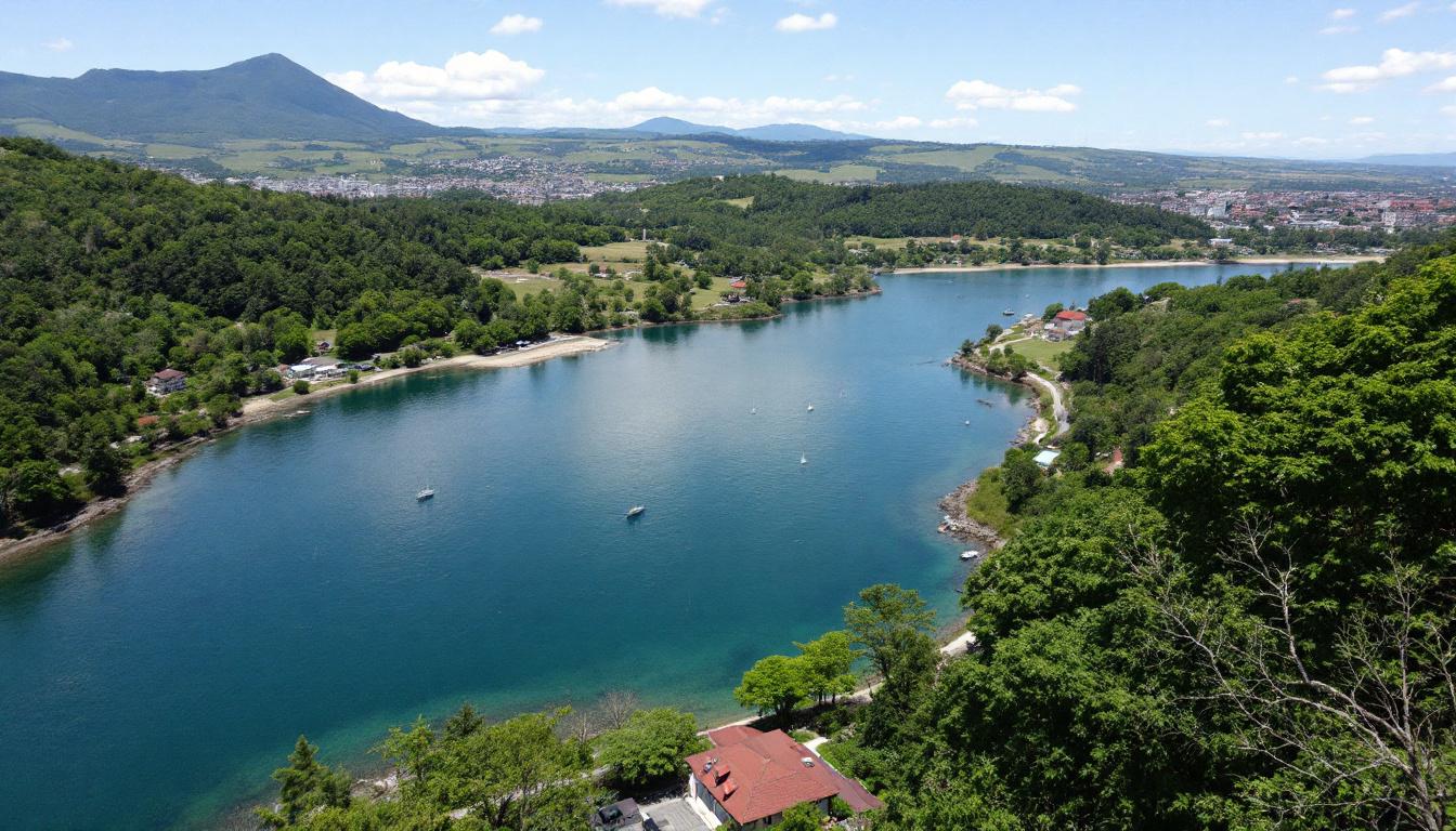 How Pest Control Businesses Can Automate Follow-Up for Annual and Recurring Treatments