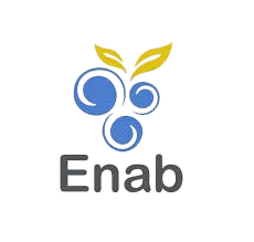 Enab LLC Logo
