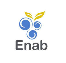 Enab LLC Logo