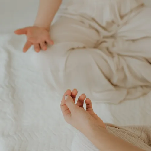 Elva Znotiņa - meditācija
