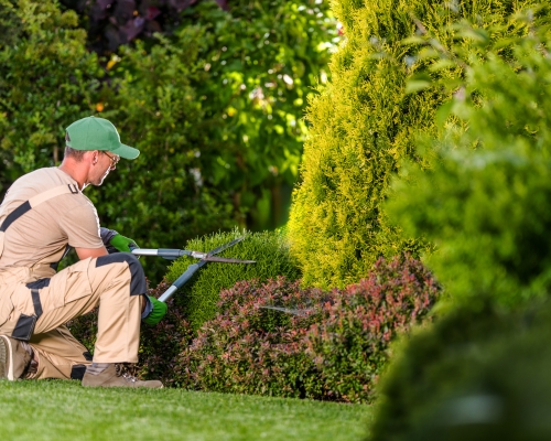 Baulkham Hills Irrigation Systems