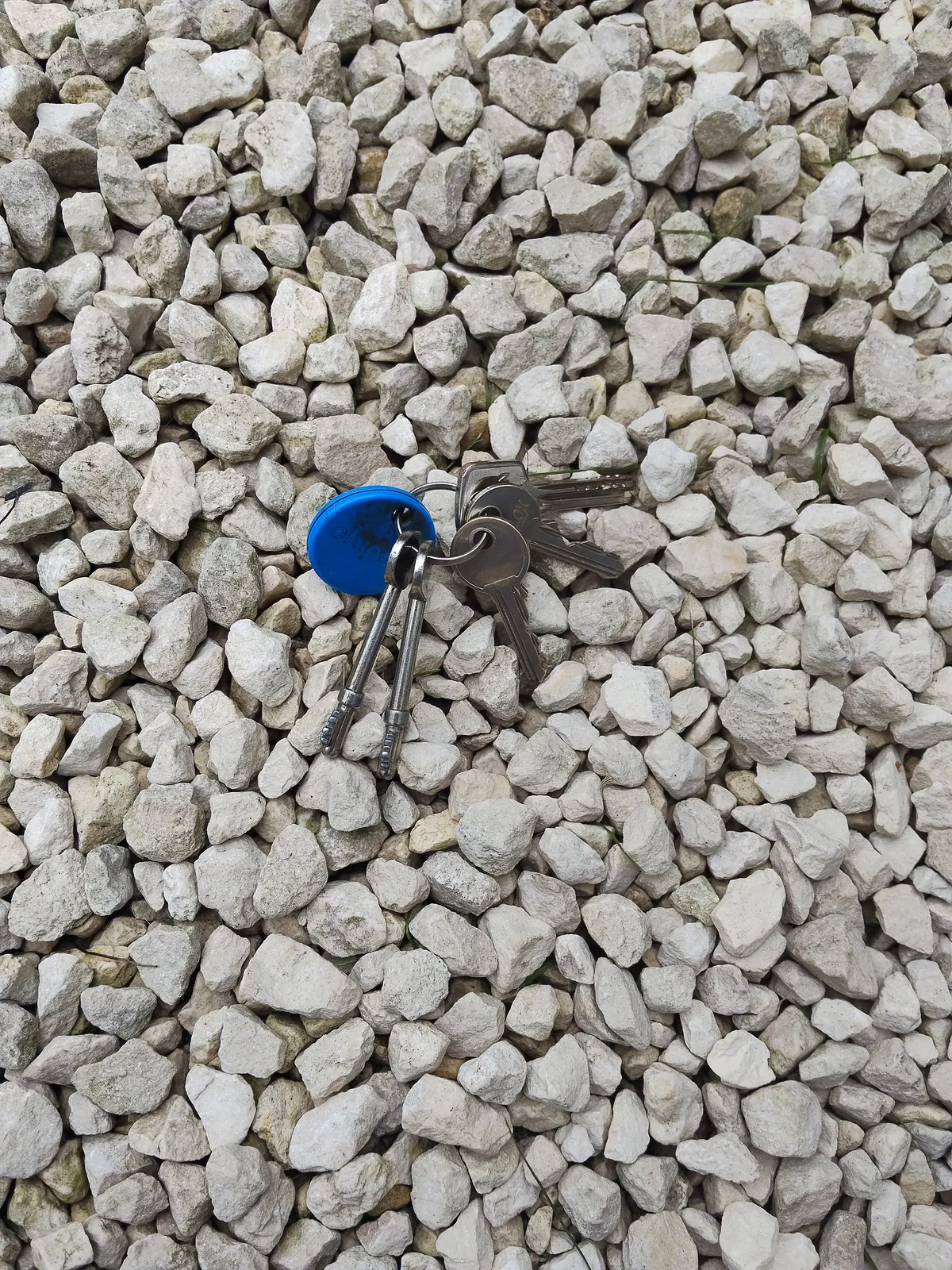 A bunch of lost house keys dropped on a concrete pavement path, requiring emergency lock change services from a former police staff analyst.