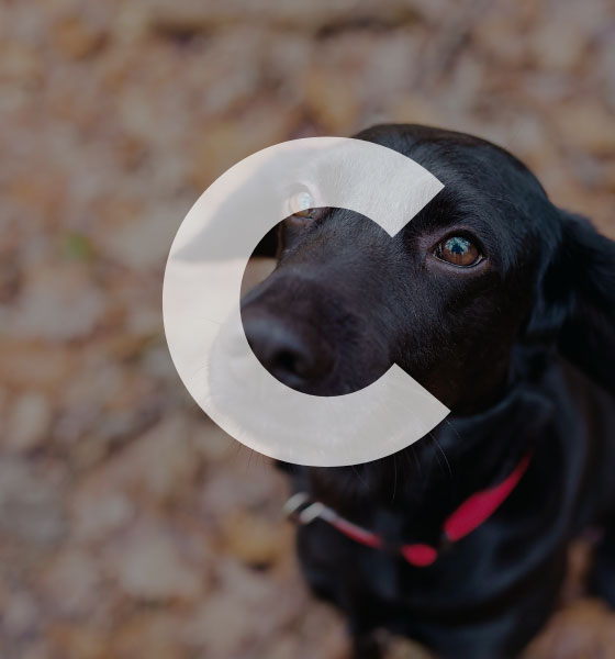 Create lasting change