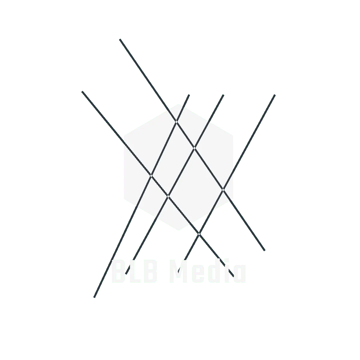 VIP Lead Concierge
