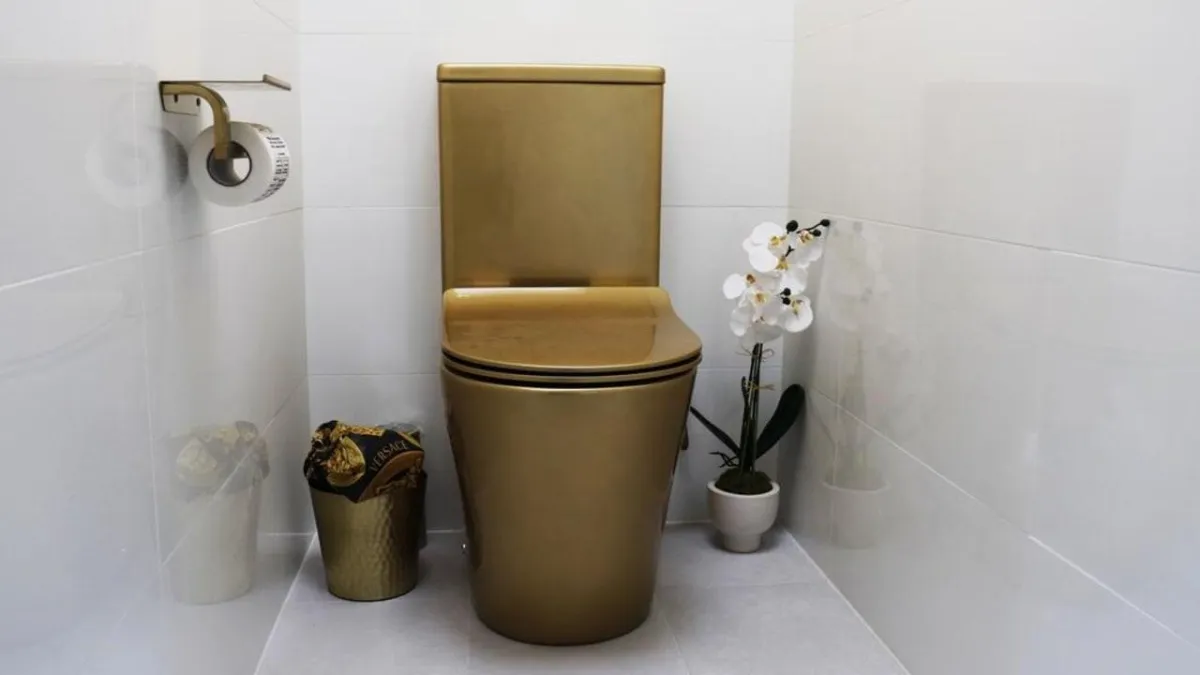 Bray Park Toilet Repairs & Installation