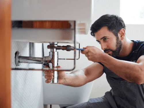 Leak Detection & Repairs in Lawnton