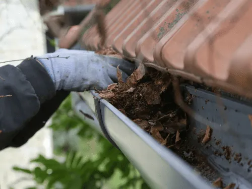 Roof & Gutter Plumbing in Lawnton