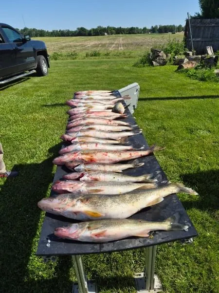 Nice catch on Lake Erie