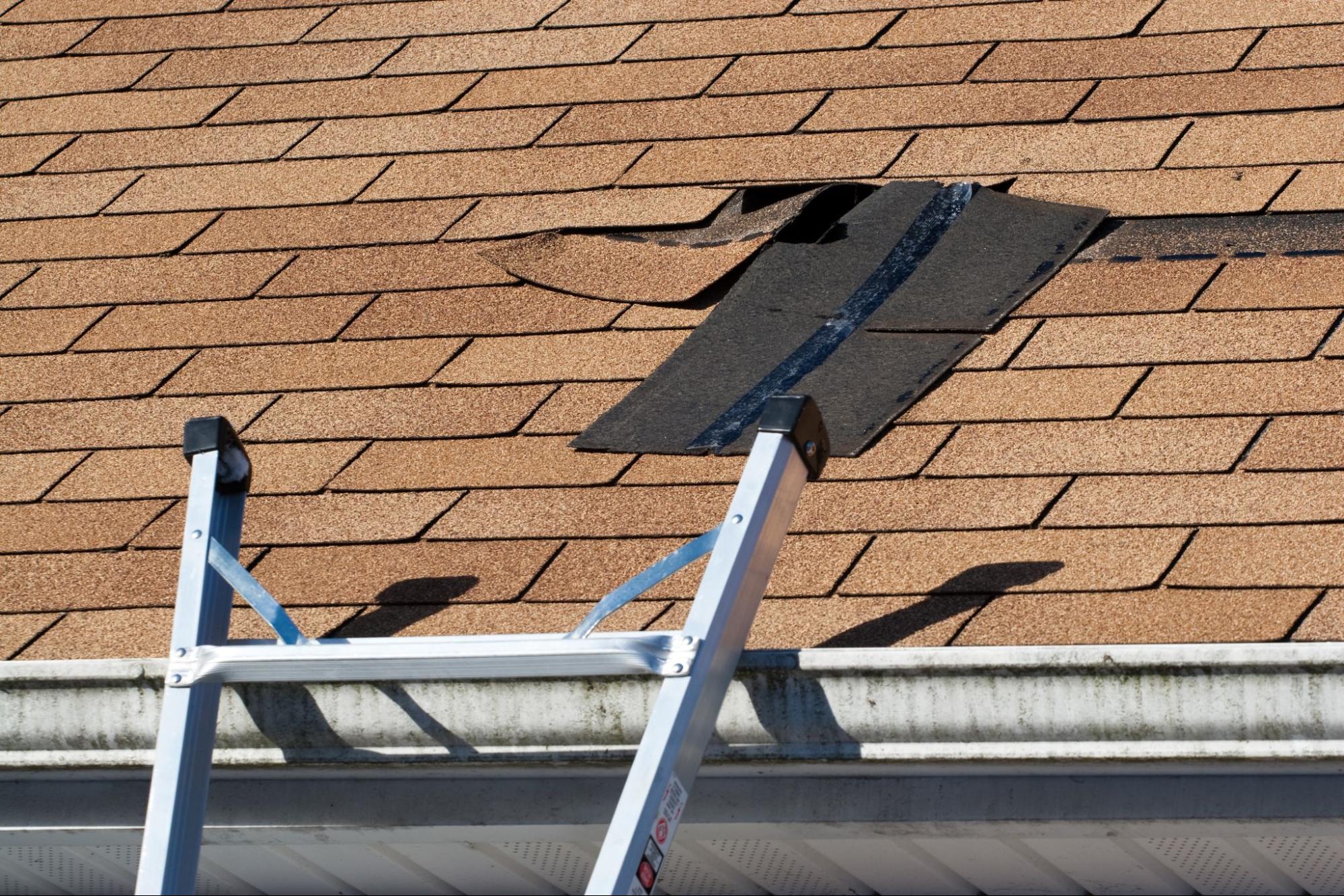 Single-story home with newly installed asphalt shingle roof and updated siding