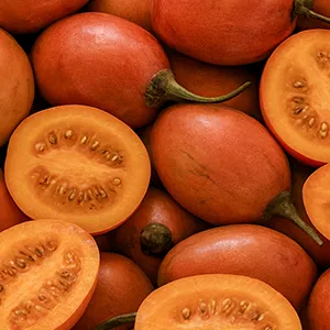 tomate de arbol