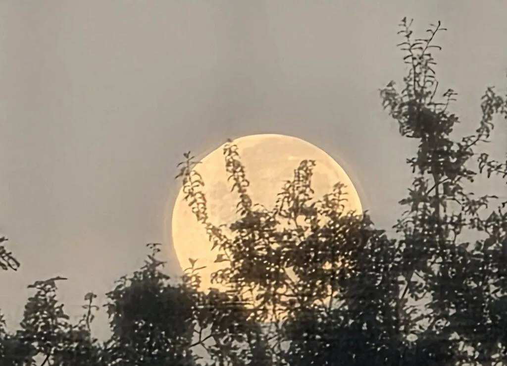 October moon