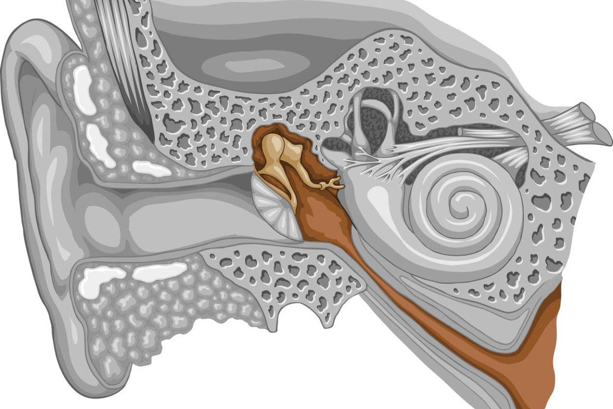 diagram of the middle ear