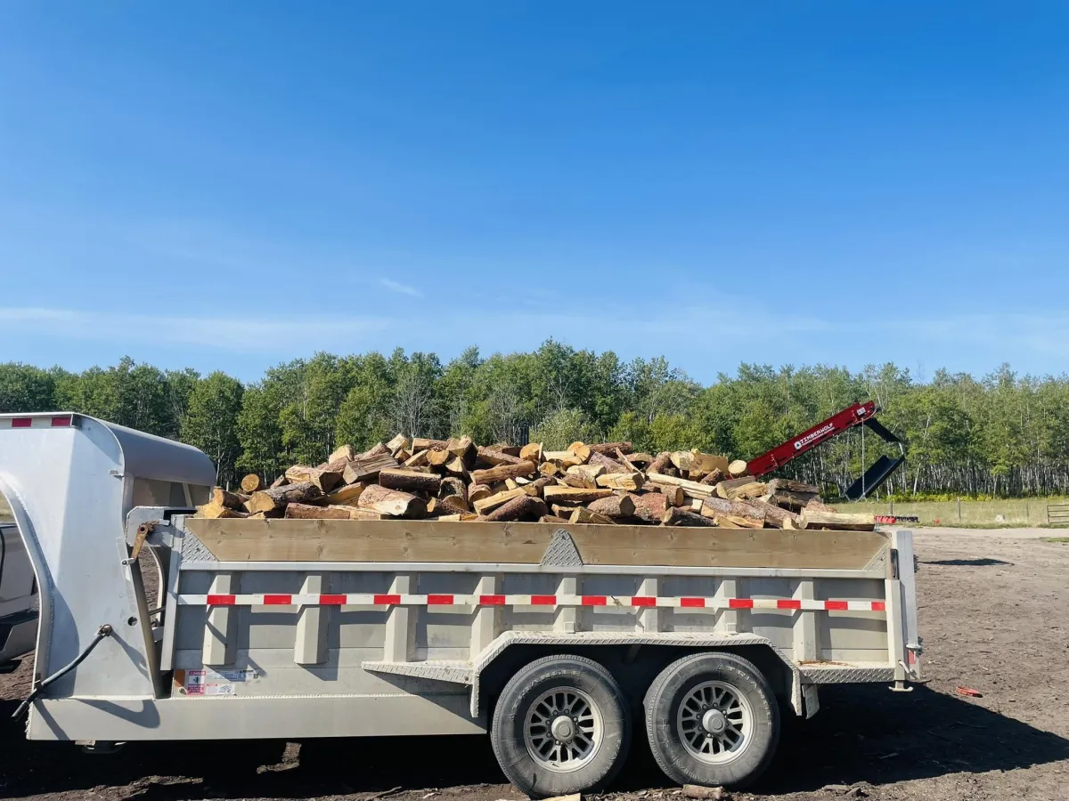 pile of brown firewood