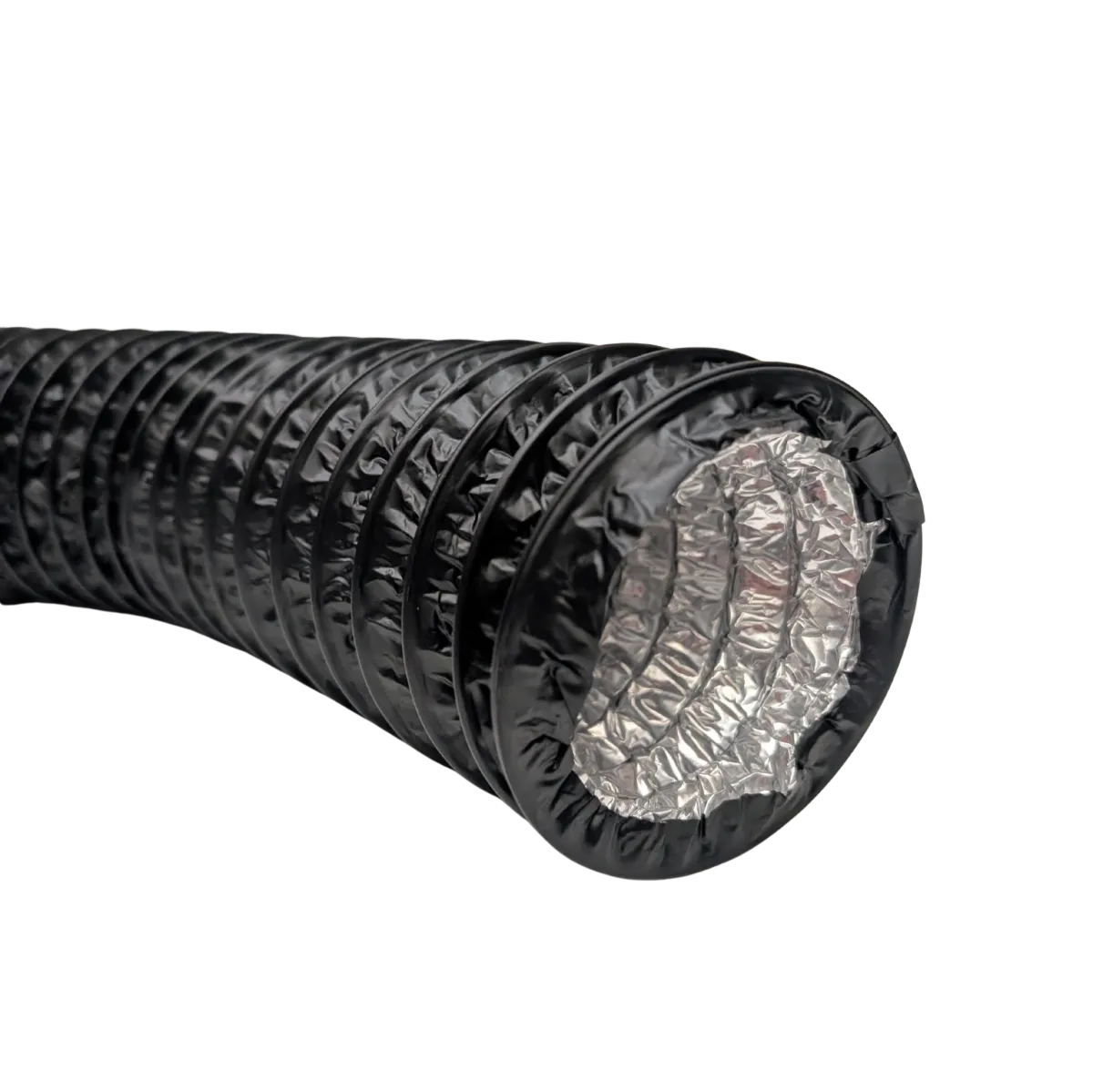 a couple of people that are on a roof