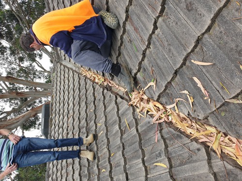 NDIS Property Maintenance Melbourne