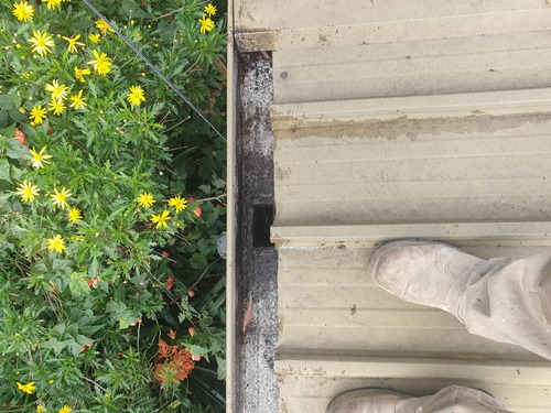 Property Maintenance