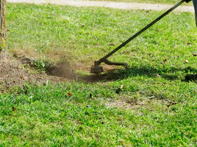 NDIS Property Maintenance in Melbourne