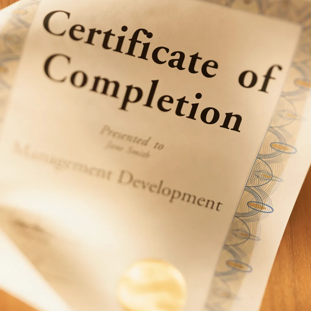 a close up of some white flowers on a tree