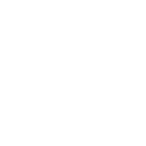 BORN  – Business fra hjertet med  Rikke Schönborn