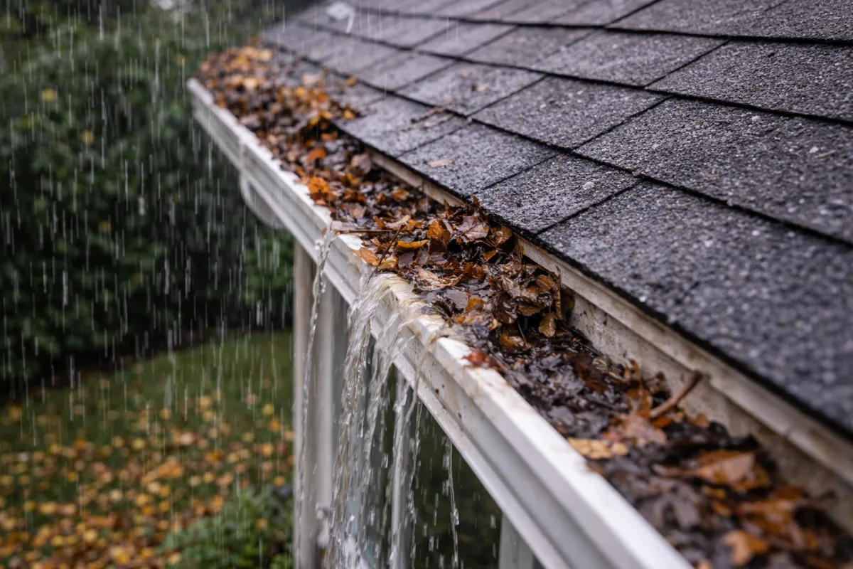  Lavage de revêtement