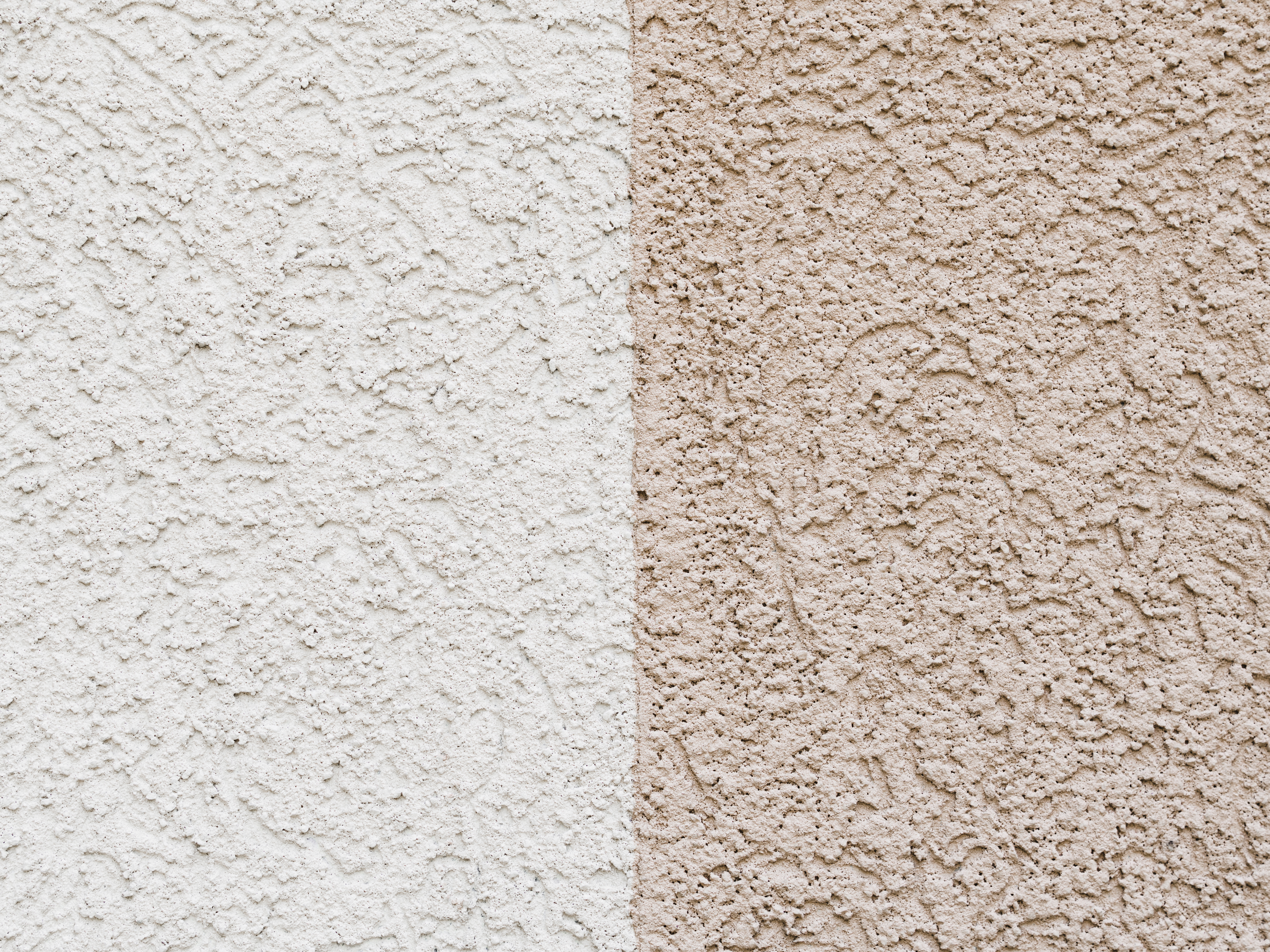 Schimmelbeseitigung in Mainburg