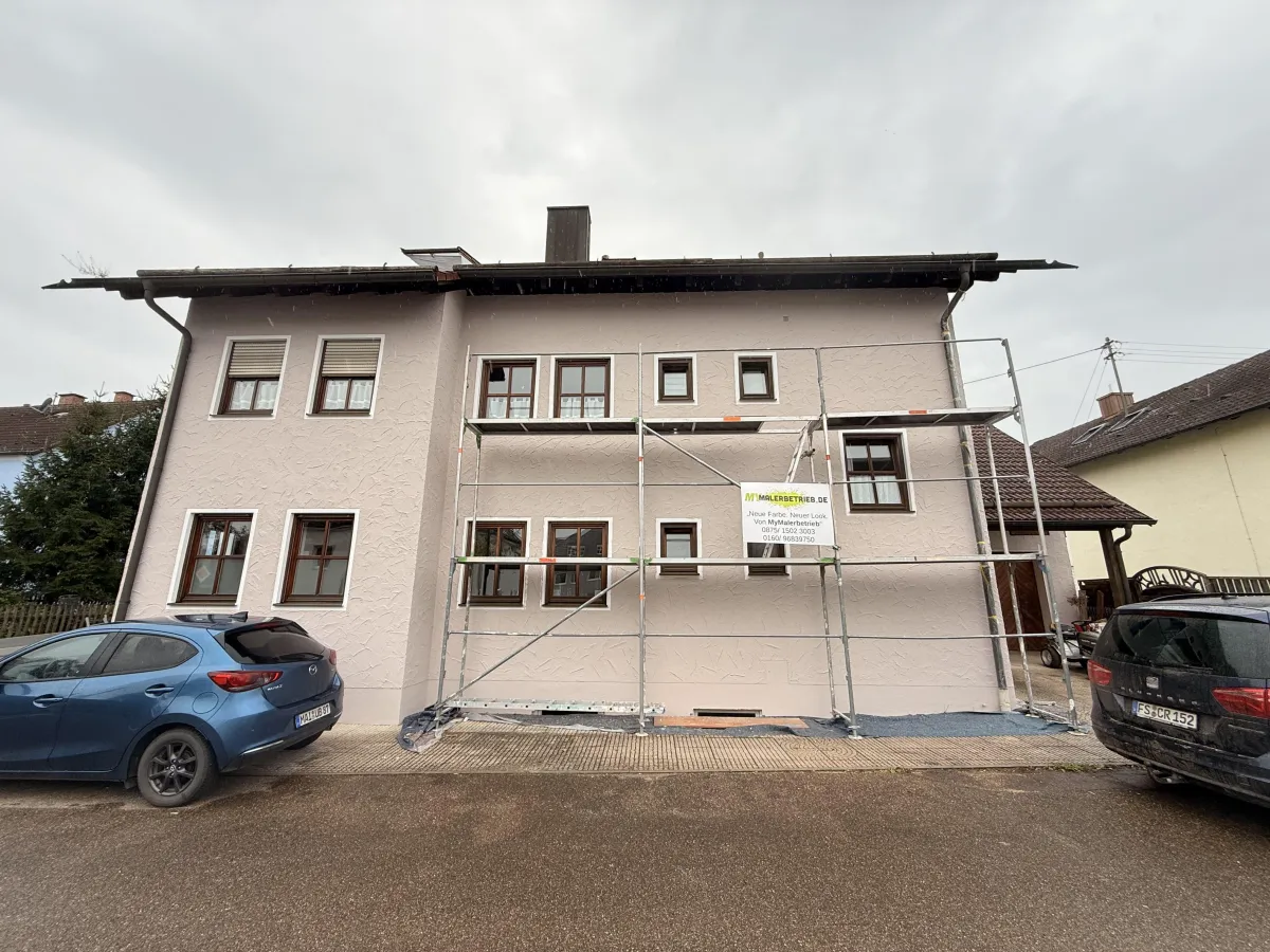 Schimmelbeseitigung Mainburg