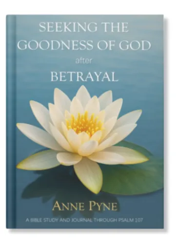 Seking The Goodness of God After Betrayal