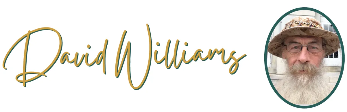 David Williams