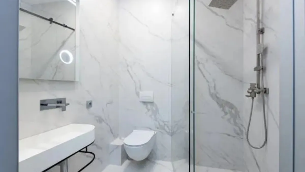 plumbing service toilets