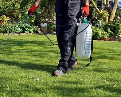 Professional weed control treatment for residential lawns in Washington, Iowa