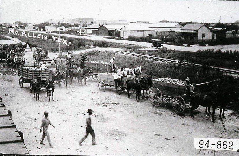mcallen-texa-year-1904