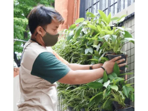 Garden Maintenance in Metro Manila