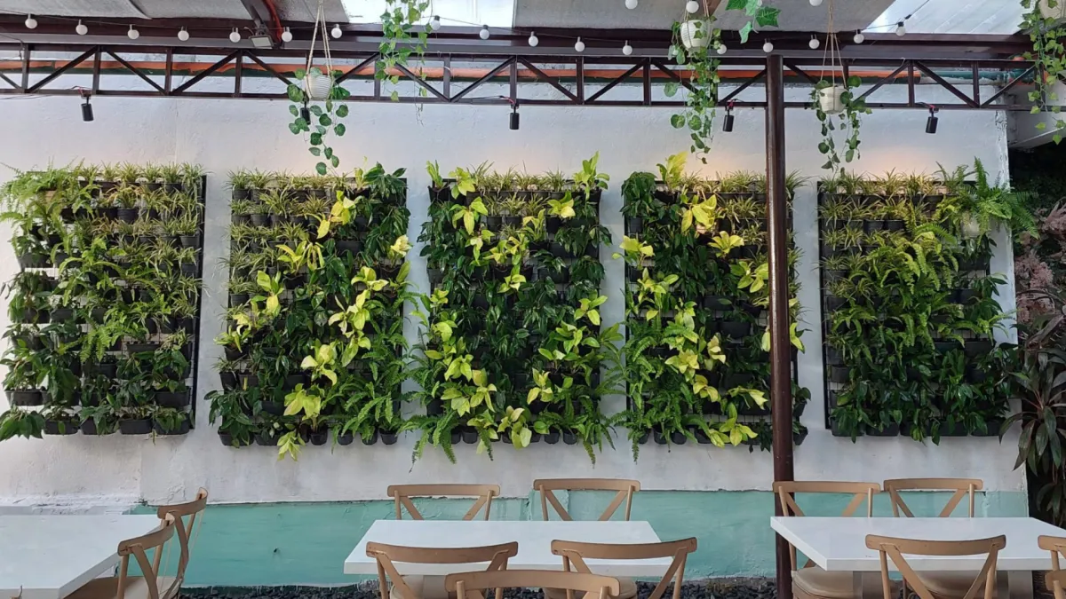  Full Garden Landscape