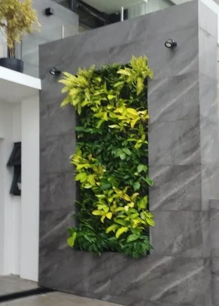  Full Garden Landscape