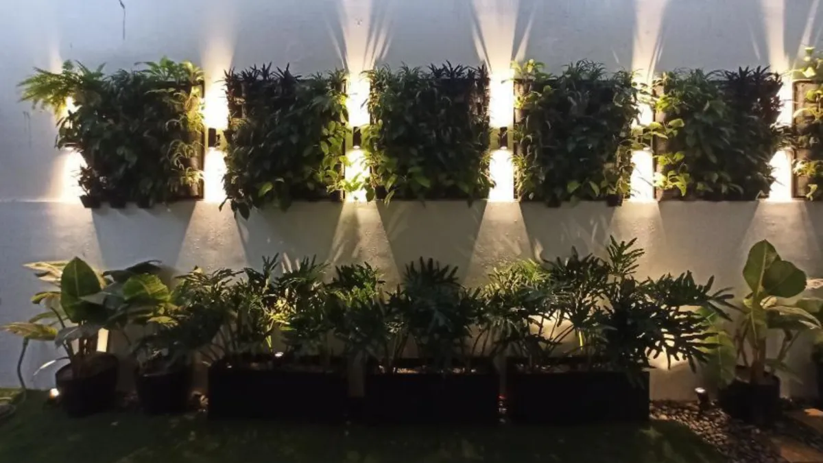  Full Garden Landscape