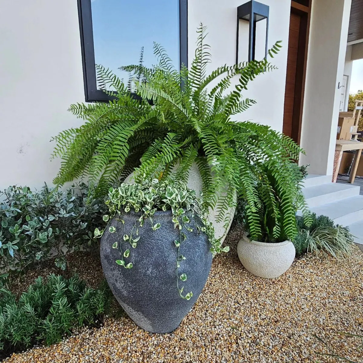 Vertical Gardening 