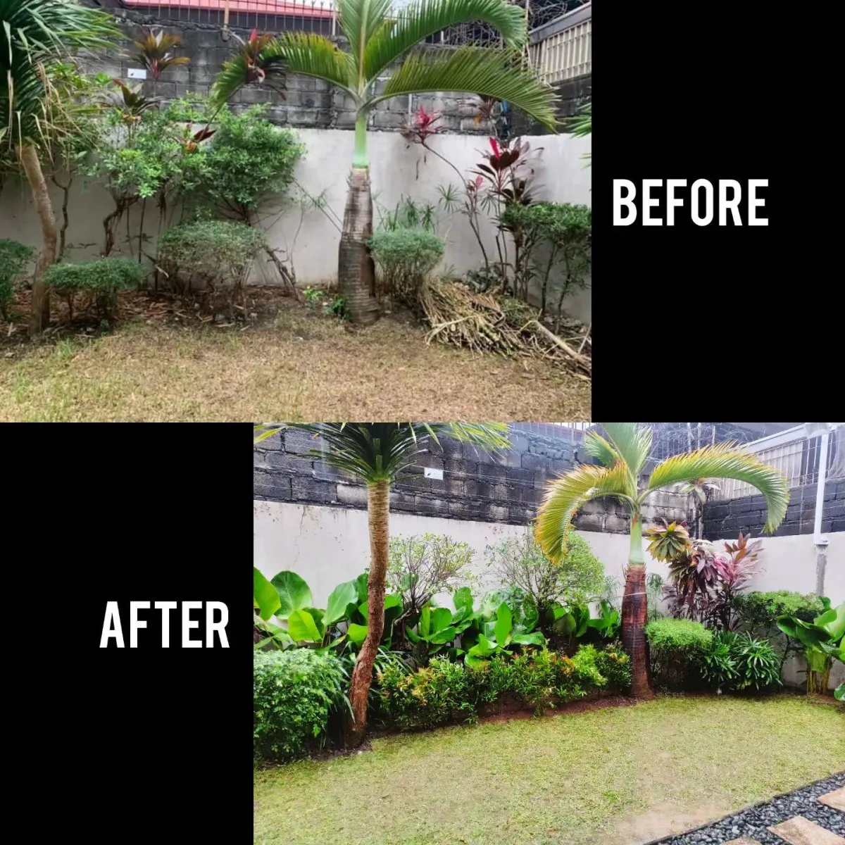  Metro Manila