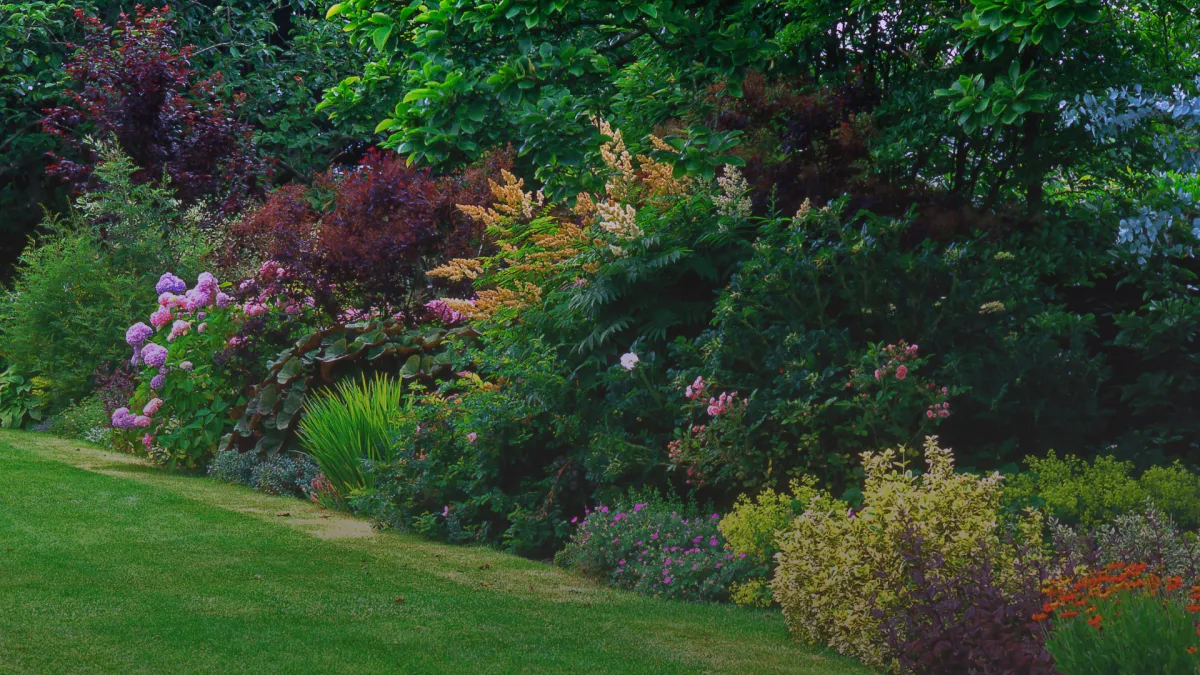 Tree Care for Great Neck Landscapes