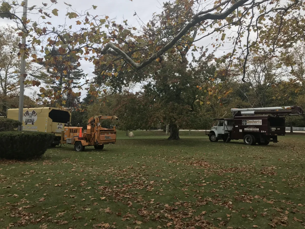 Why Choose Clovis Outdoor Services