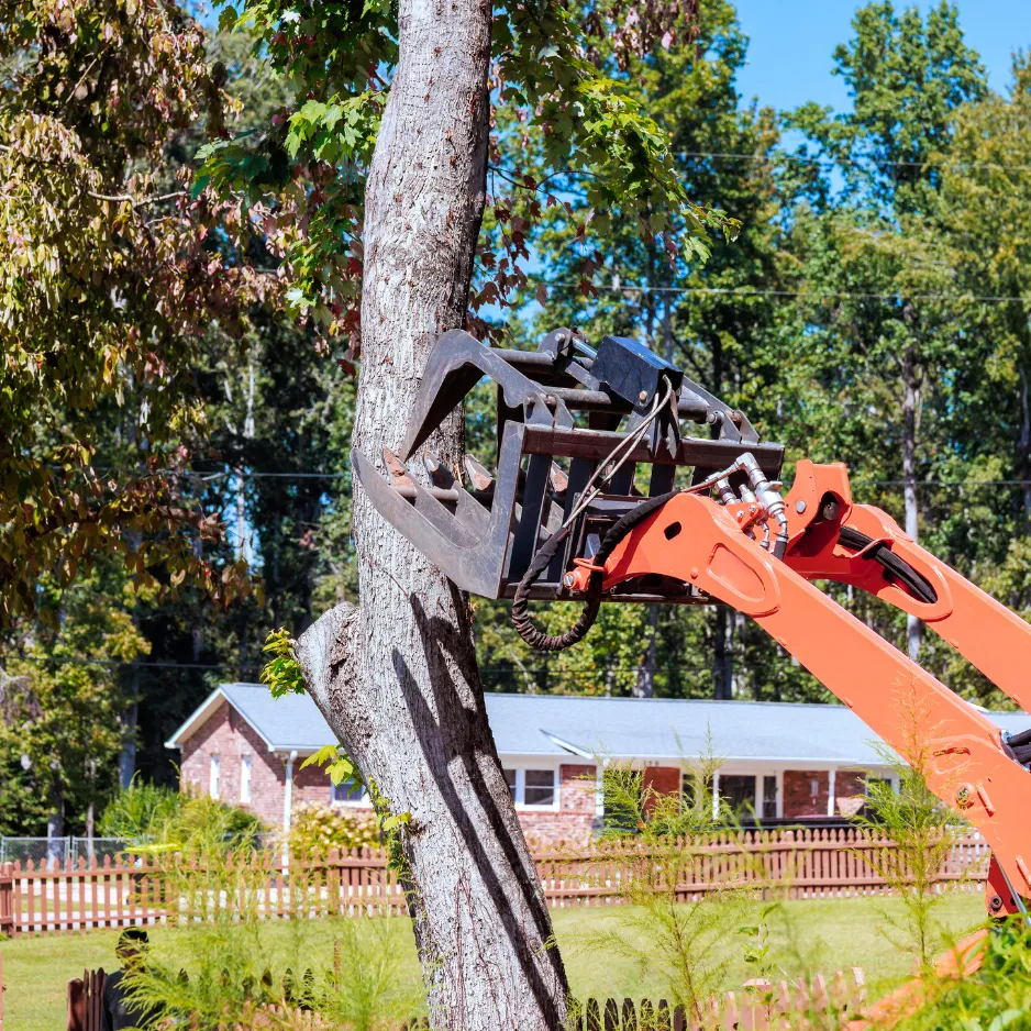 Trusted Tree Service in East Hampton NY