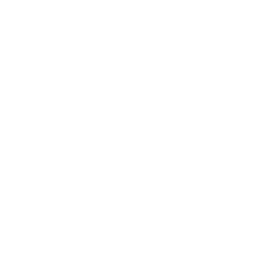 Megaphone icon