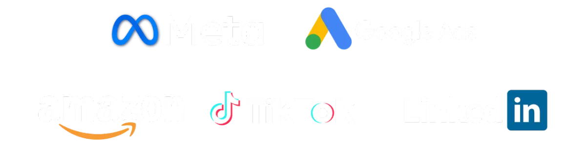 Meta Ads, Google Ads, Amazon Ads, TikTok Ads and LinkedIn Ads logos