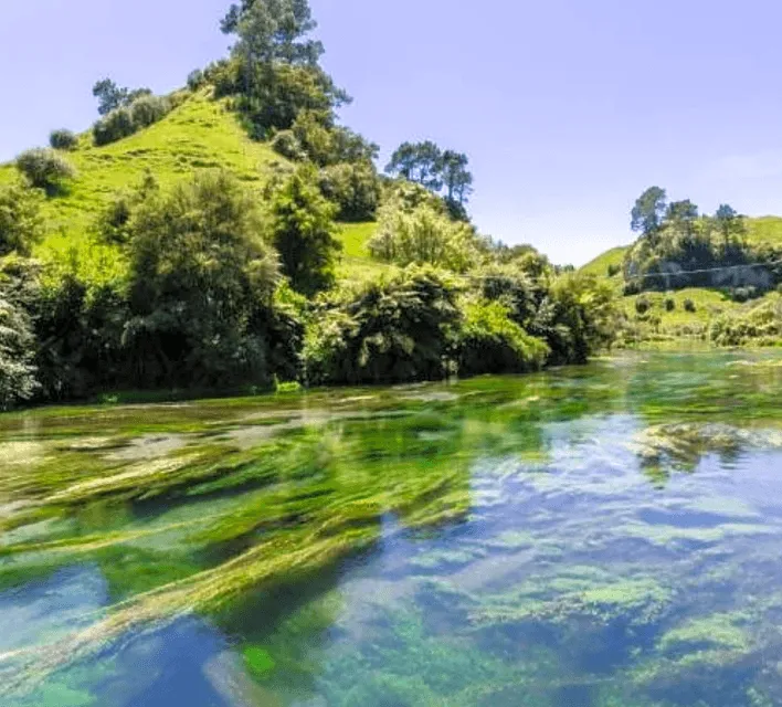 Hobbiton movie set tour with Okoroire Hot Springs experience in Waikato