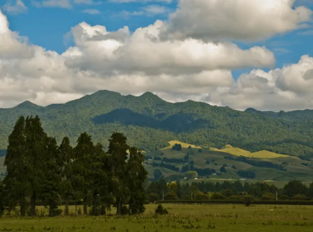 Scenic tour to Mount Pirongia, Bridal Veil Falls and Ngarunui Beach near Raglan