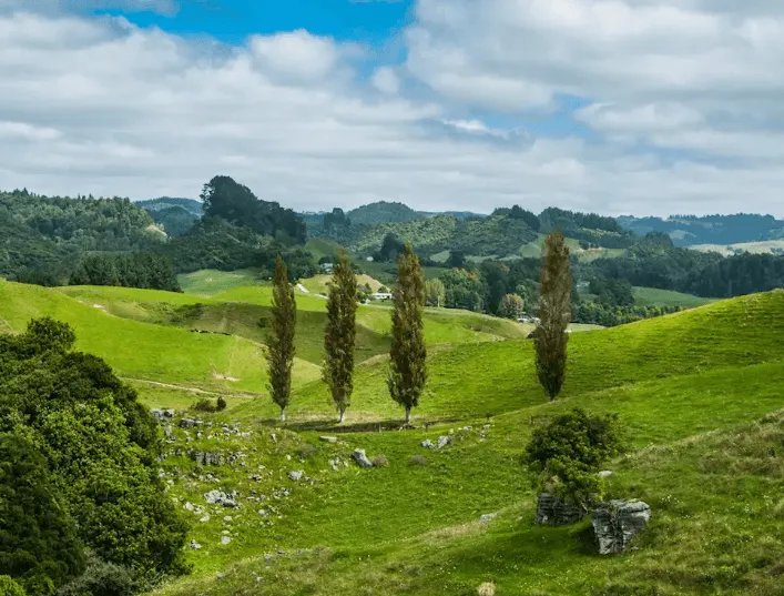 Waitomo Valley scenic tour visiting Mangapohue Natural Bridge, Marokopa Falls and the Waitomo Glowworm Caves