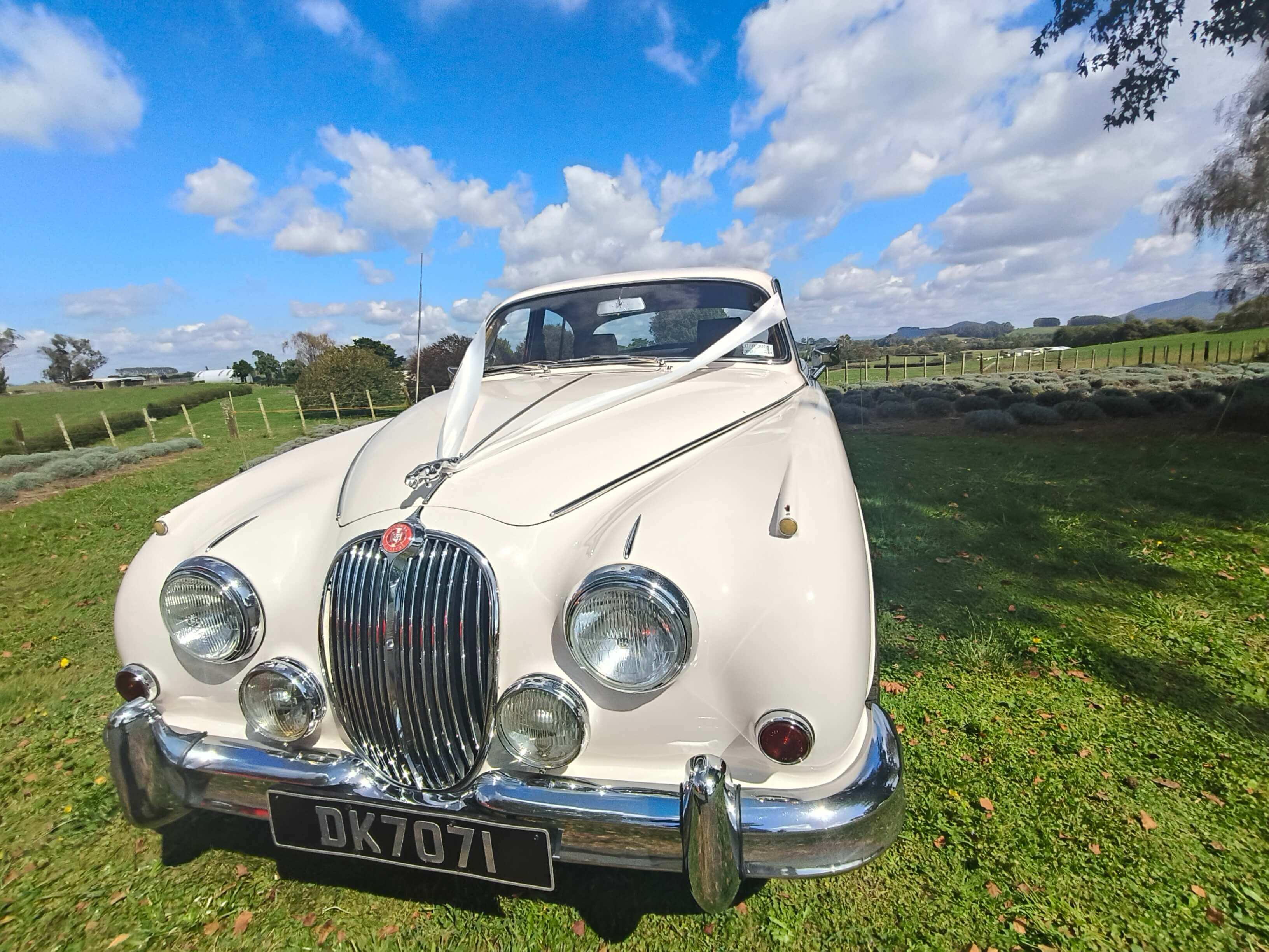 Classic wedding car hire in Waikato with luxury vintage vehicles for weddings and special occasions