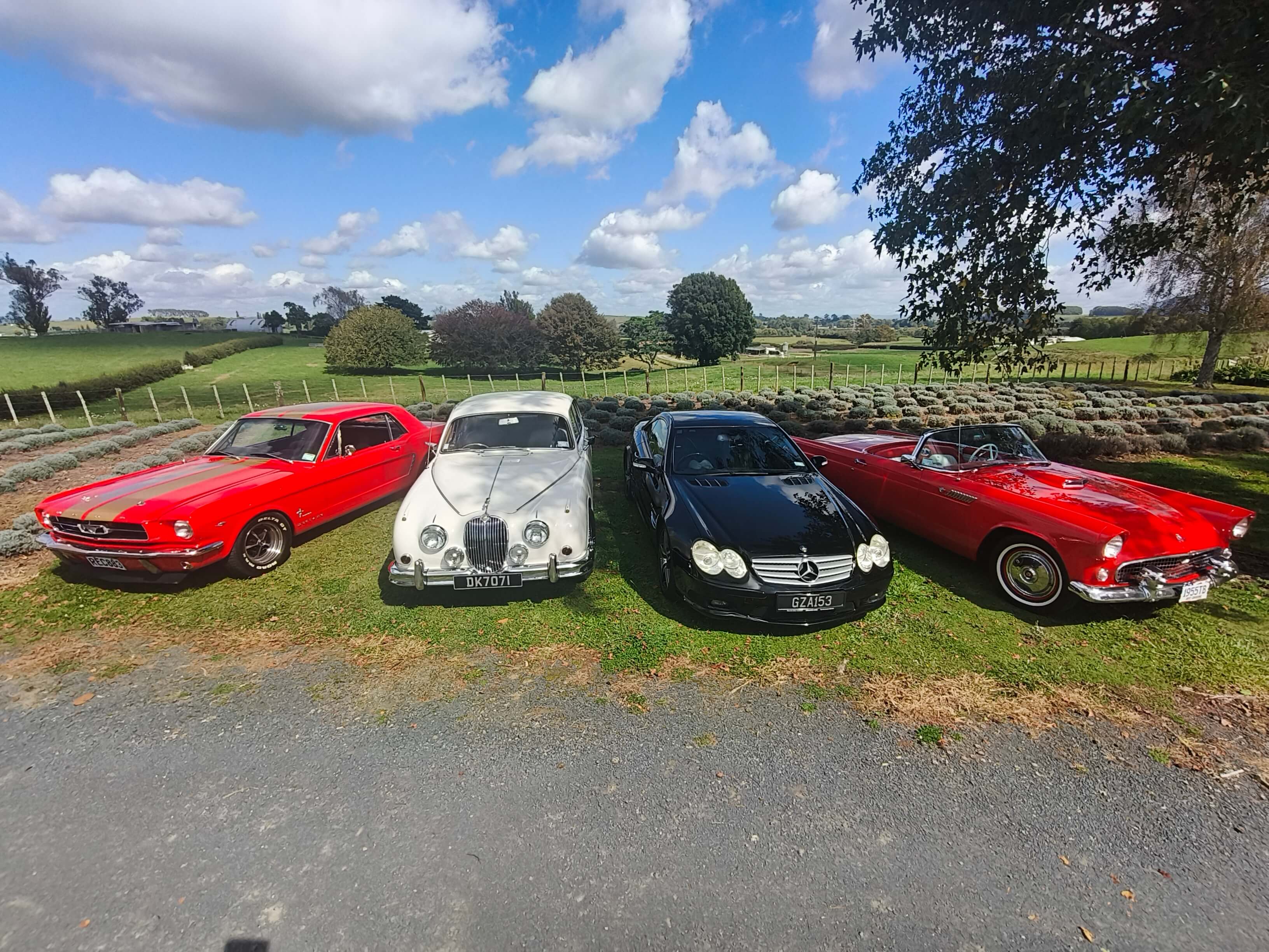 Collection of classic and luxury touring vehicles available for scenic tours in Waikato, New Zealand