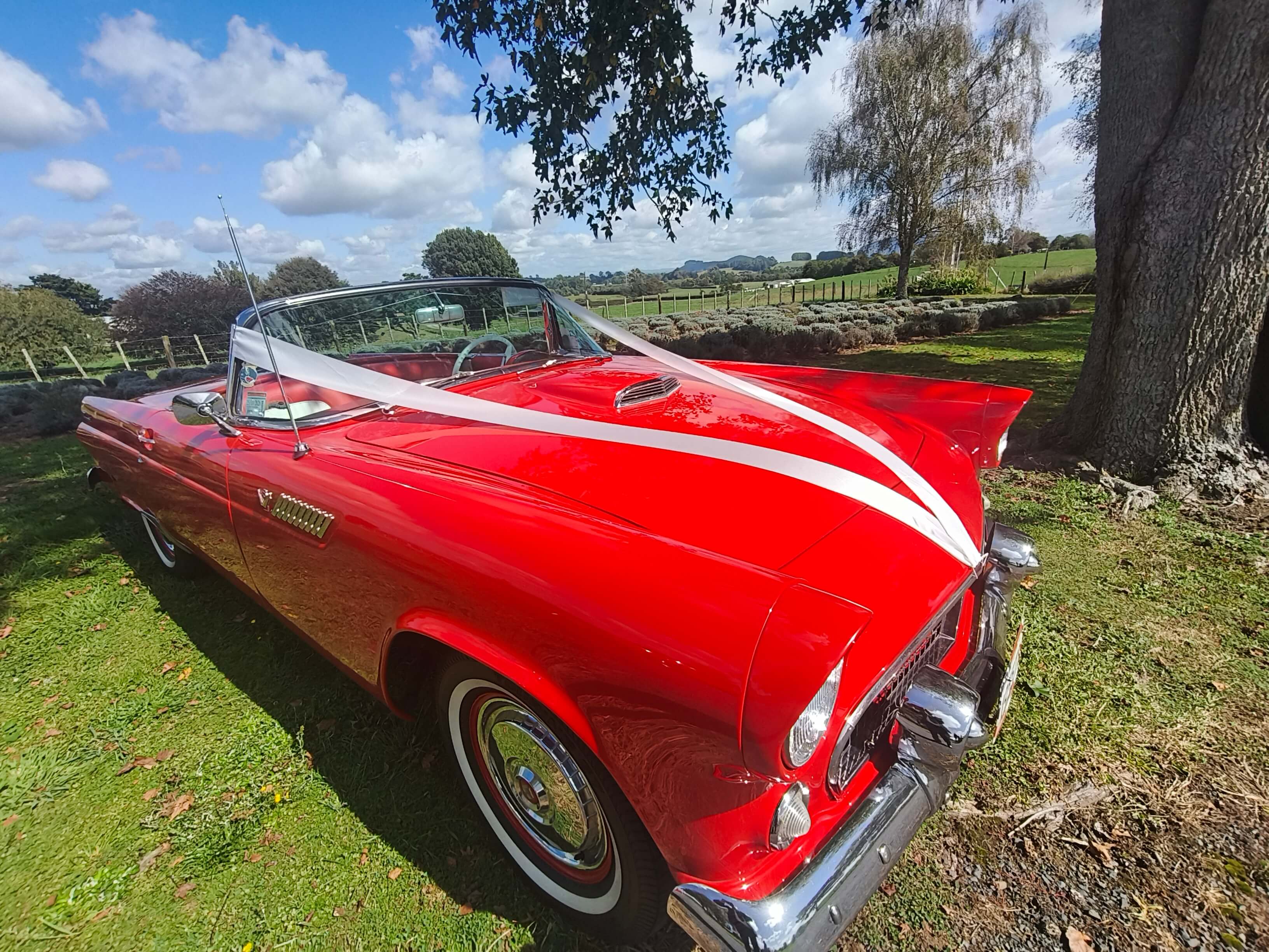 1955 Ford Thunderbird convertible decorated for a wedding in Waikato, available for classic wedding car hire and scenic tours