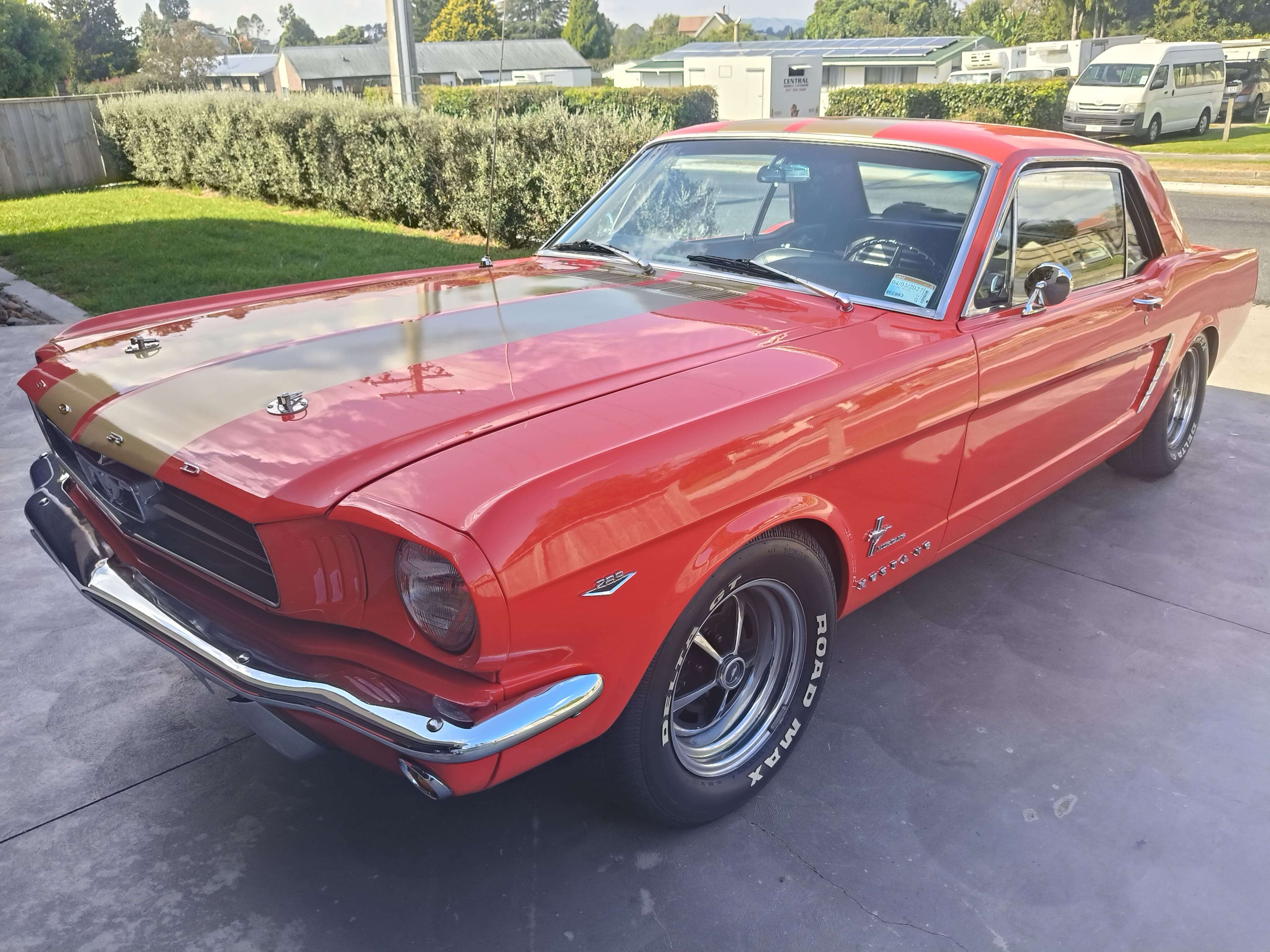 1964½ Ford Mustang available for scenic tours and wedding car hire in Waikato, New Zealand